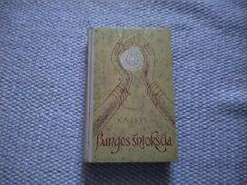 Bangos šniokščia Kalkis