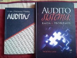Audito sistema: raida ir problemos