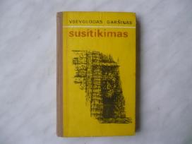 V. Garšinas - Susitikimas