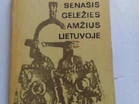 Senasis geležies amžius Lietuvoje