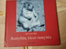 Ramybės , tiktai ramybės