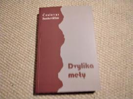 Česlovas Senkevičius Dvylika metų