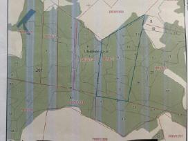 Parduodamas 5,40 ha miškas Telšių rajone