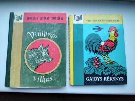 Vinipego vilkas. Gaidys Rėksnys
