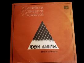 Vinilo Plokštele