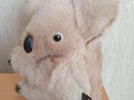 Koala su natūraliu kailiu