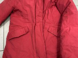 Woolrich s dydis