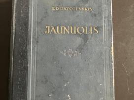 Sena Dostojevskio knyga Jaunuolis