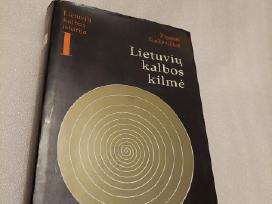 Lietuvių kalbos kilmė