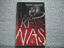 Žiurkinas Andrzej Zaniewski
