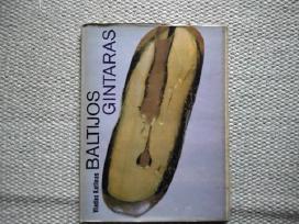 Baltijos gintaras Vladas Katinas