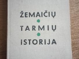 Knyga "Žemaičių tarmių istorija"