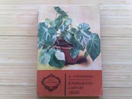 A.lučinskienė "Kambarinės lapinės gėlės"