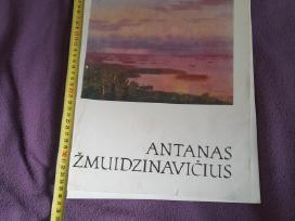 Antanas Žmuidzinavičius