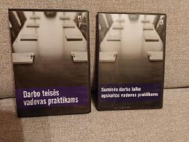 Darbo teisės vadovas praktikams CD