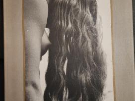 Parduodu R. Dichavičiaus foto albumą