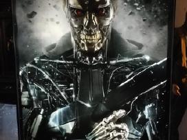 Filmo Terminator Stendas