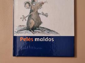 Knyga Pelės maldos