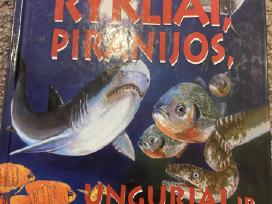Parduodama knyga apie žuvis