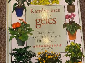 Parduodama knyga apie kambarines gėles