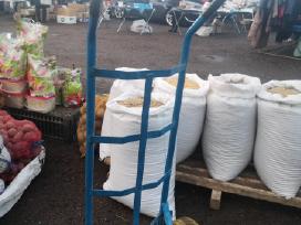 Runkeliai, pasariniai burokai, kvieciai