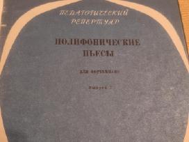 Natos fortepijonui