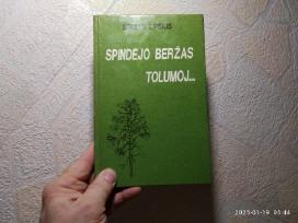 Dokumentinė apysaka apie Paulių Širvį