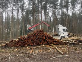 Malkos pigiau! Beržas,uosis,ąžuolas,alksnis.
