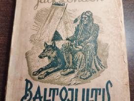 Baltoji iltis