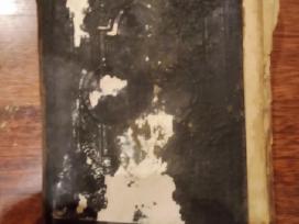 Biblijos