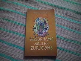 Vasarnamis saulės zuikučiams Nijolė Kepenienė