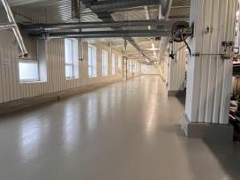 Epoksidines besiūles gindys