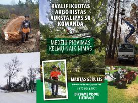 Arboristas. Medžių pjovimas, kelmų naikinimas