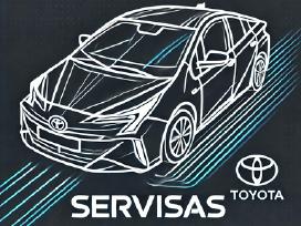 Hibridinių baterijų remontas Kaune. Prius remontas