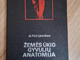 Žemės ūkio gyvulių anatomija. A. Pabijanskas