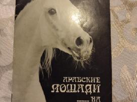 Knyga apie arklius