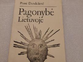 Pagonybė Lietuvoje