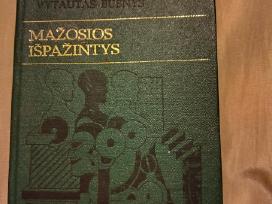 Vytautas Bubnys-arberonas. Maža išpažintis