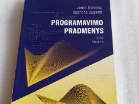 Programavimo pradmenys 11-12 klasėms
