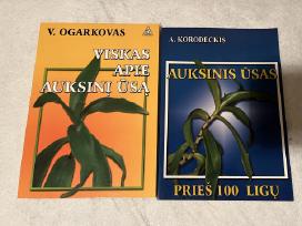 Auksinis ūsas
