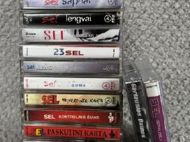 Sel kasečių kolekcija