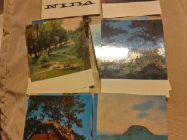 Atvirukų rinkinys-nida
