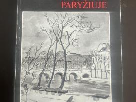 Knyga Septynios vienatvės Paryžiuje