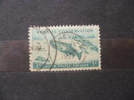 1956 m. gamtos apsauga – karališkoji lašiša