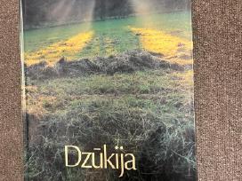 Vytautas stanionis. Dzūkija. 1995 m.