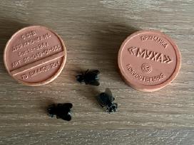Plastikines muses dezuteje