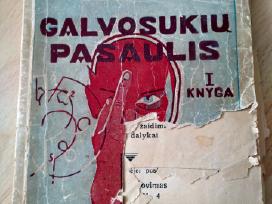 K.klimavičius Galvosukių pasaulis 1931