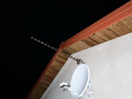 Antenų Montavimas, Derinimas, Remontas, Starlink