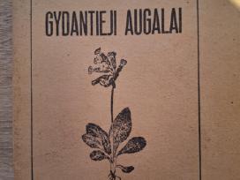 Senovinė knyga