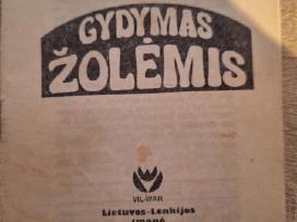 Knyga